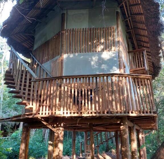 بانگلوی استاندارد, Ecoaraguaia Jungle Lodge