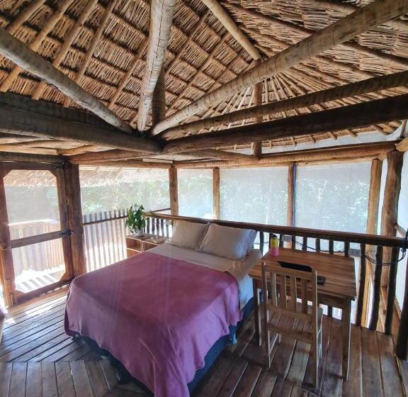 بانگلوی استاندارد, Ecoaraguaia Jungle Lodge
