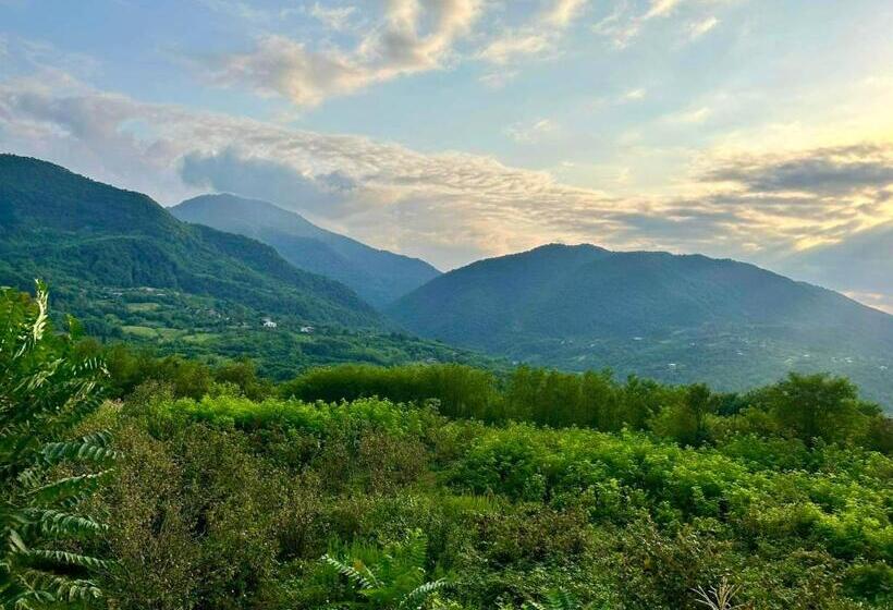 اتاق استاندارد سه نفره, House & Wine