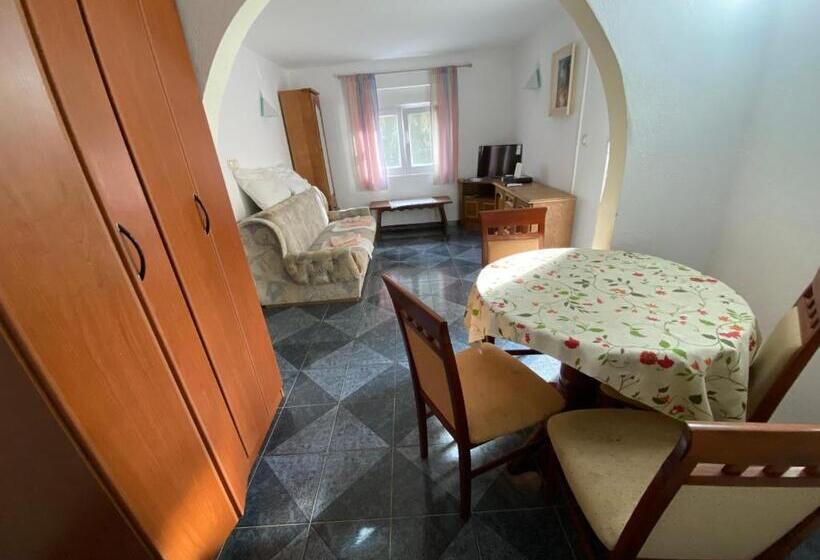 آپارتمان 1 خوابه با چشم‌انداز باغ, Stone Villa