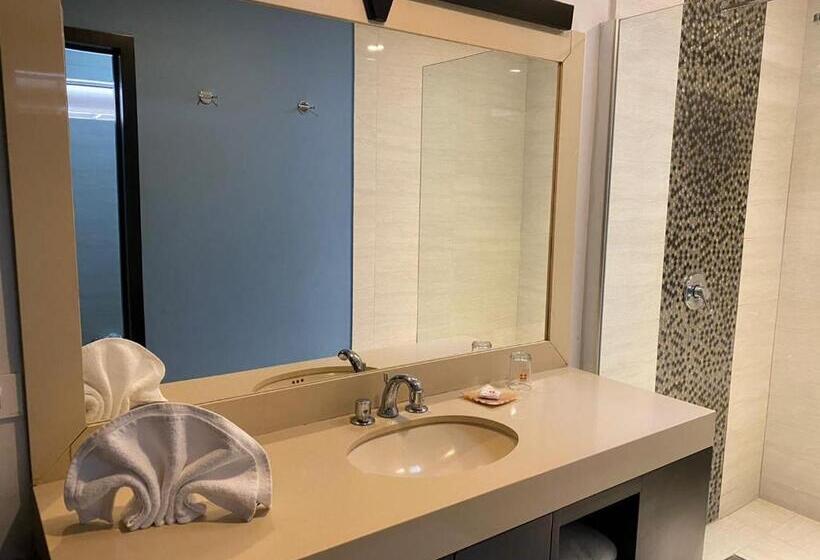 اتاق لوکس, Autohotel Frances