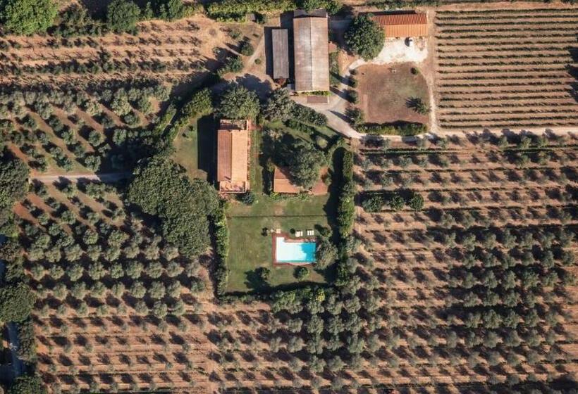 سوئیت با بالکن, Bb Villa Bolgheri Mare