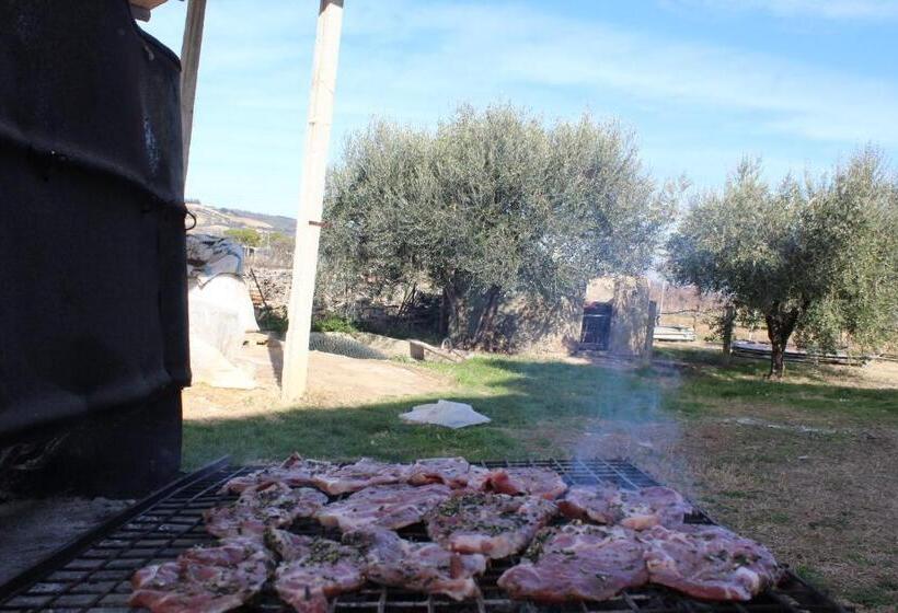 خانه 1 خوابه, La Casa Nell Orto