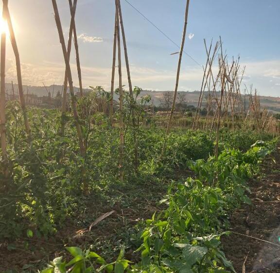 خانه 1 خوابه, La Casa Nell Orto