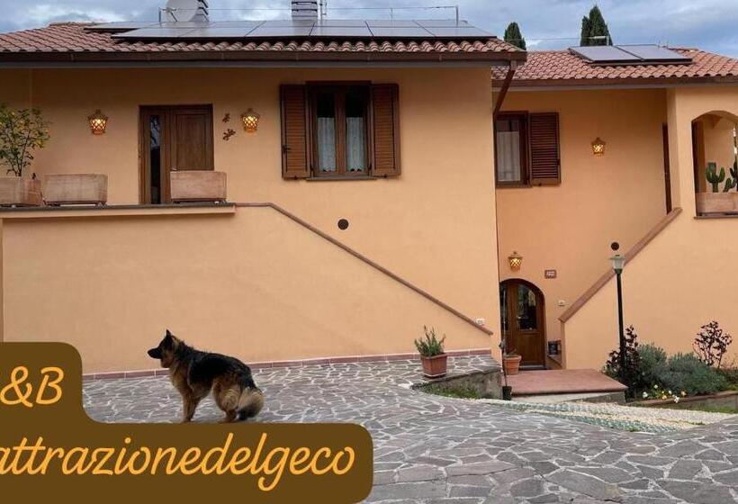 اتاق لوکس, Lattrazionedelgeco