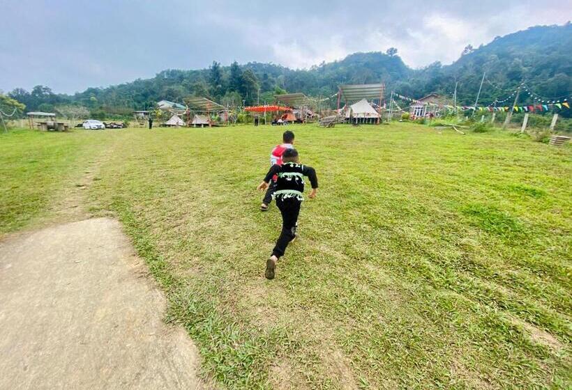 چادر با خدمات رفاهی استاندارد, Wind Hill Homestay Hà Giang
