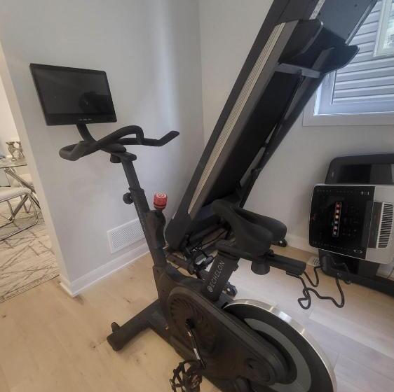 اتاق لوکس, Pleasure Ride