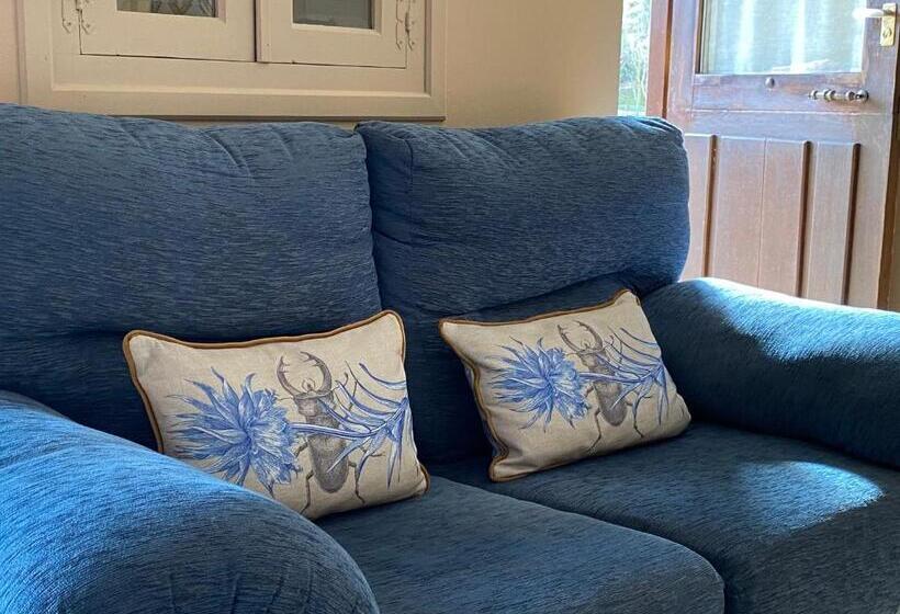 آپارتمان 1 خوابه با چشم‌انداز, Apartamentos Calm & Nature   Adults Only