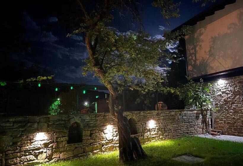 خانه 1 خوابه, Verta House