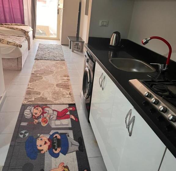 استودیوی استاندارد, استدديك