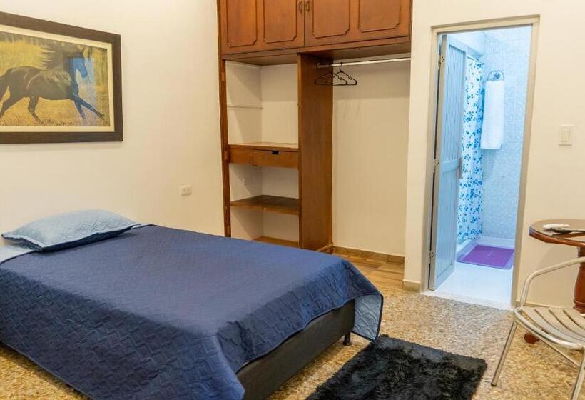 اتاق استاندارد یک نفره, Ganadero