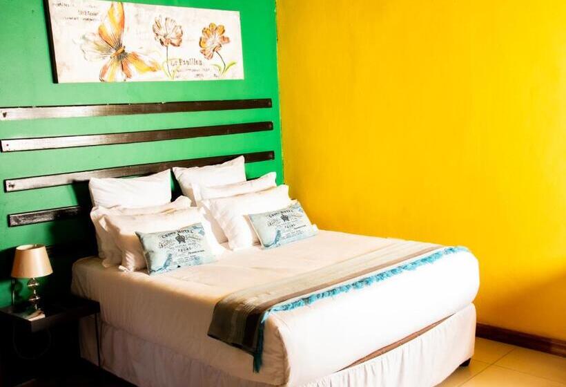 اتاق لوکس, Shape Inn Guest House