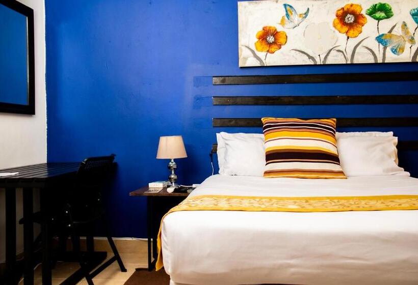 اتاق لوکس, Shape Inn Guest House