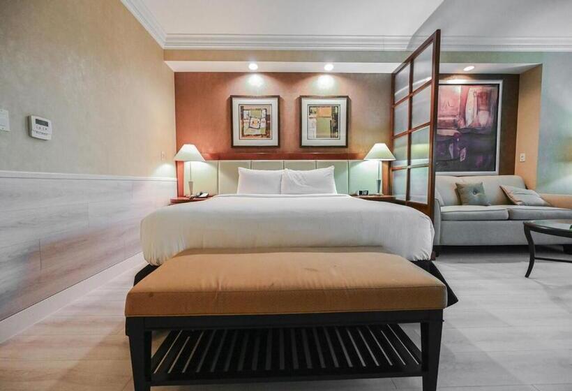 استودیوی استاندارد, Beautiful Strip View Studio In Lv