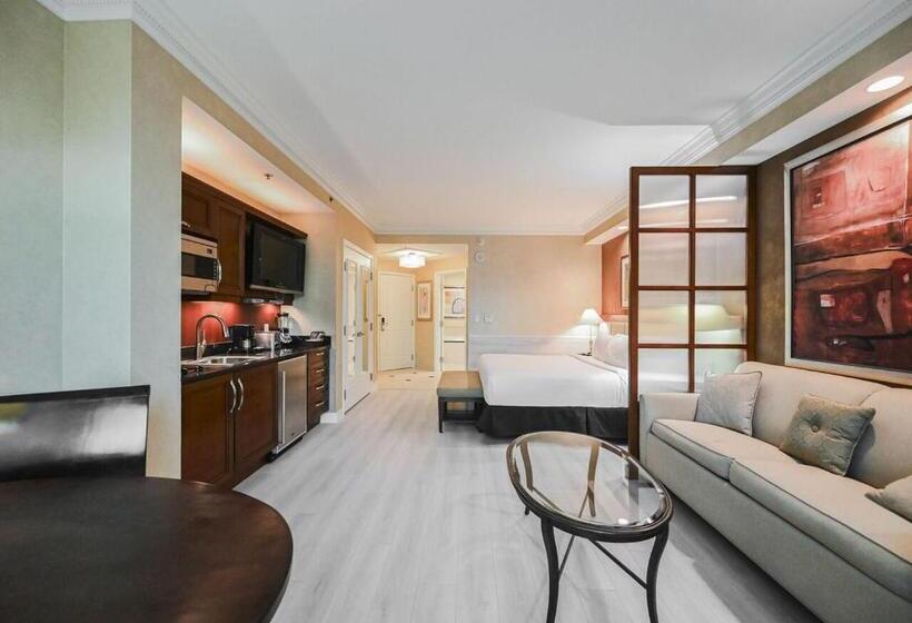 استودیوی استاندارد, Beautiful Strip View Studio In Lv