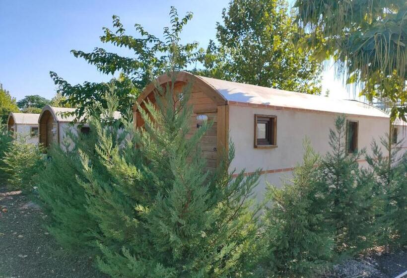 اتاق استاندارد, Finca Alarcos