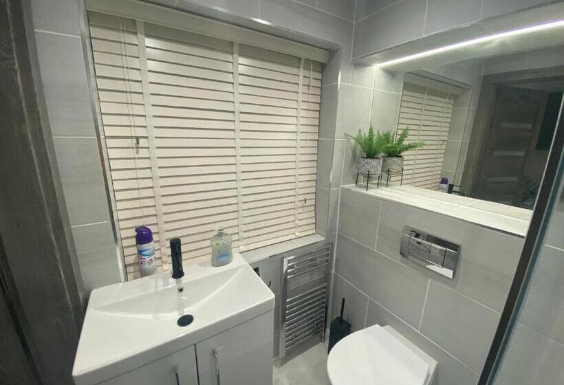 اتاق استاندارد, Modern Studio In Natural Surroundings