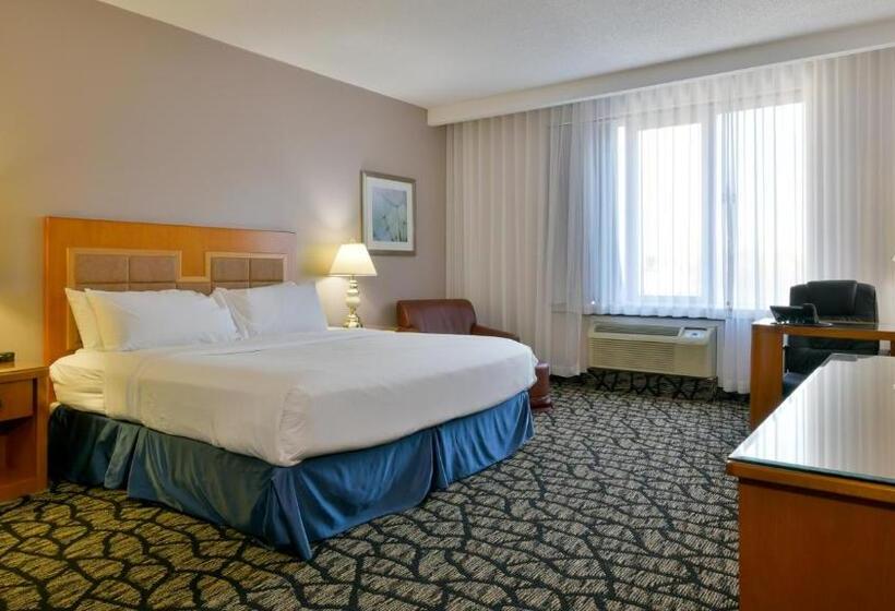 سوئیت با تخت بزرگ, Empire Suites