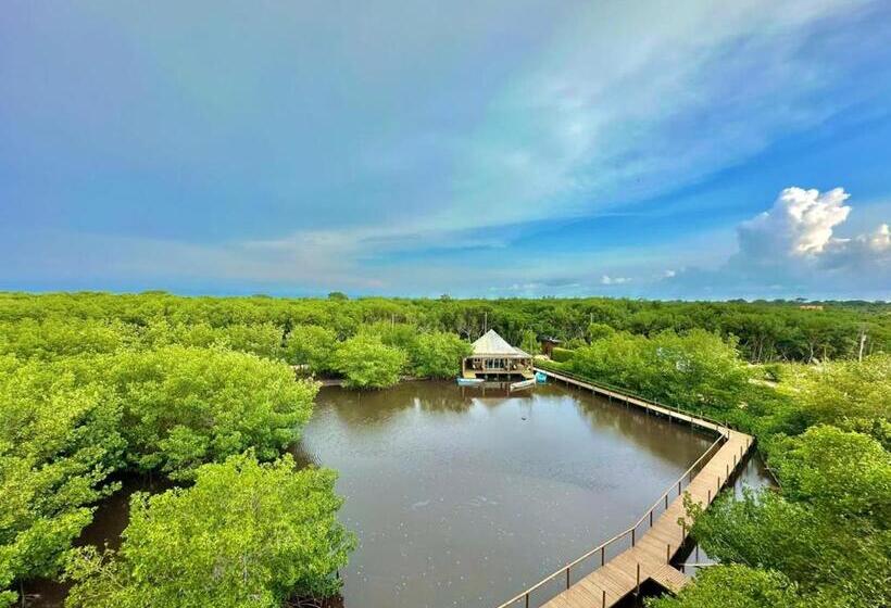 آپارتمان 1 خوابه با چشم‌انداز دریا, Apartamento   Suite, Frente Al Mar