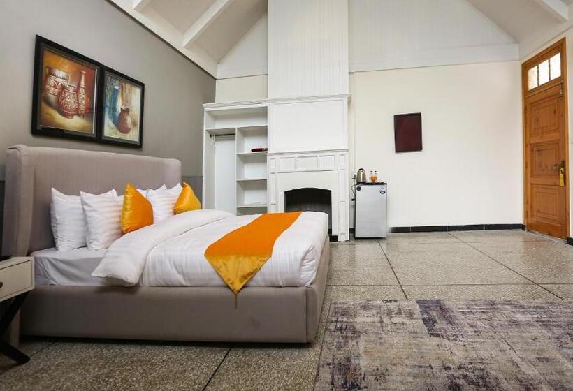 اتاق استاندارد با تخت بزرگ, Destination Hotel Thandiani