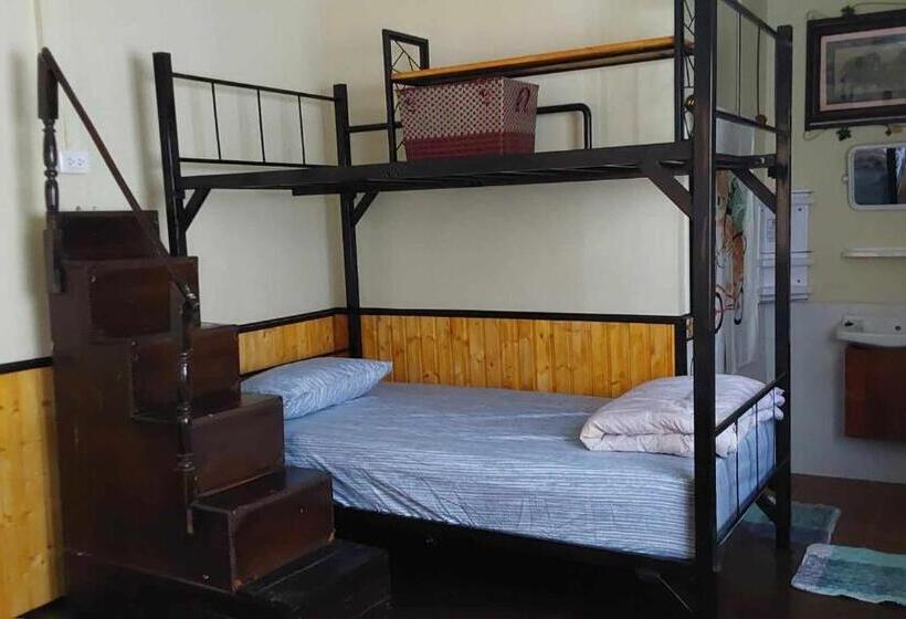 اتاق استاندارد, V House