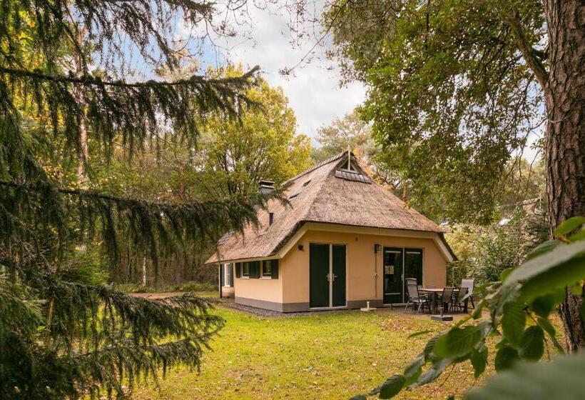 بانگلوی استاندارد, Landgoed Het Grote Zand