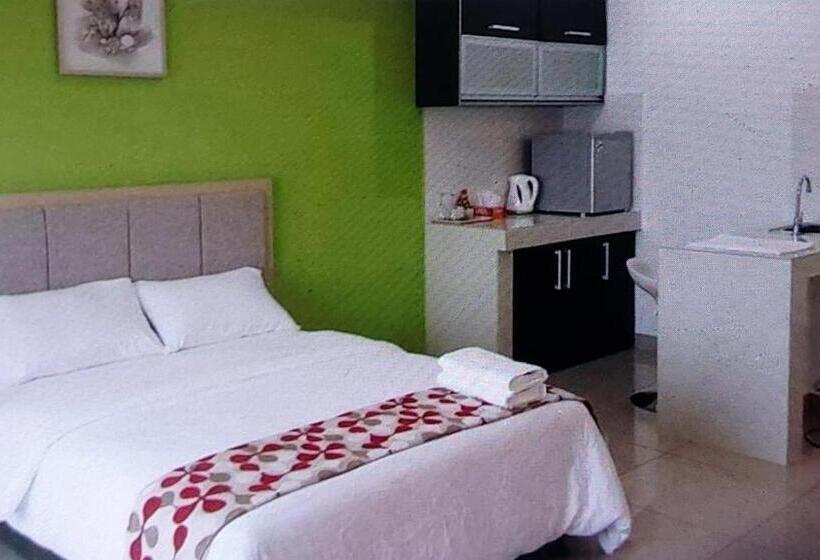 استودیوی استاندارد, The Viana Apartment 1