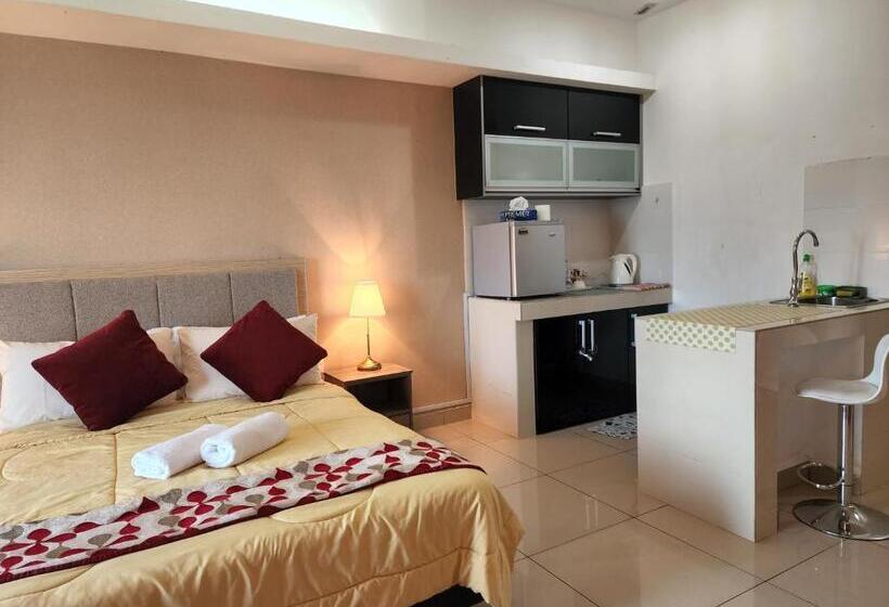 استودیوی استاندارد, The Viana Apartment 1
