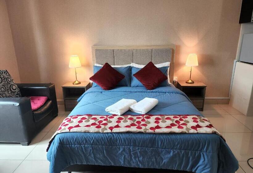 استودیوی استاندارد, The Viana Apartment 1