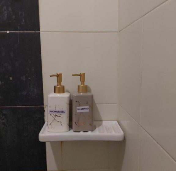 استودیوی استاندارد, The Viana Apartment 1