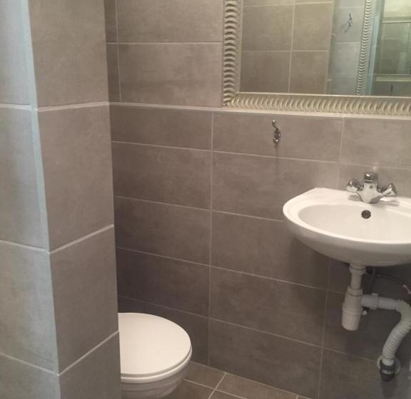 اتاق استاندارد, Guesthouse Svečiuose Pas Gražina