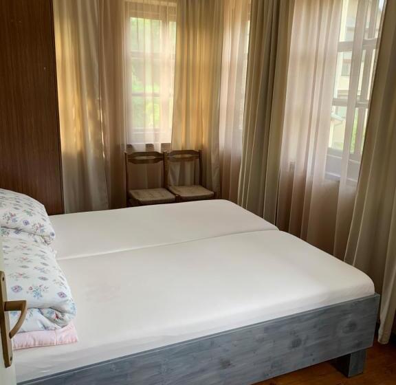 اتاق استاندارد, Guesthouse Svečiuose Pas Gražina