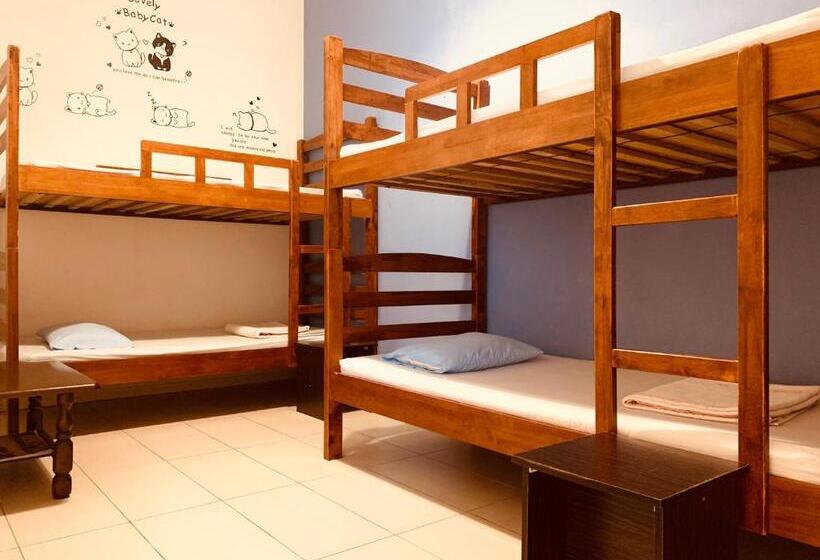 اتاق استاندارد چهارنفره با سرویس بهداشتی مشترک, Prima B&b Hostel