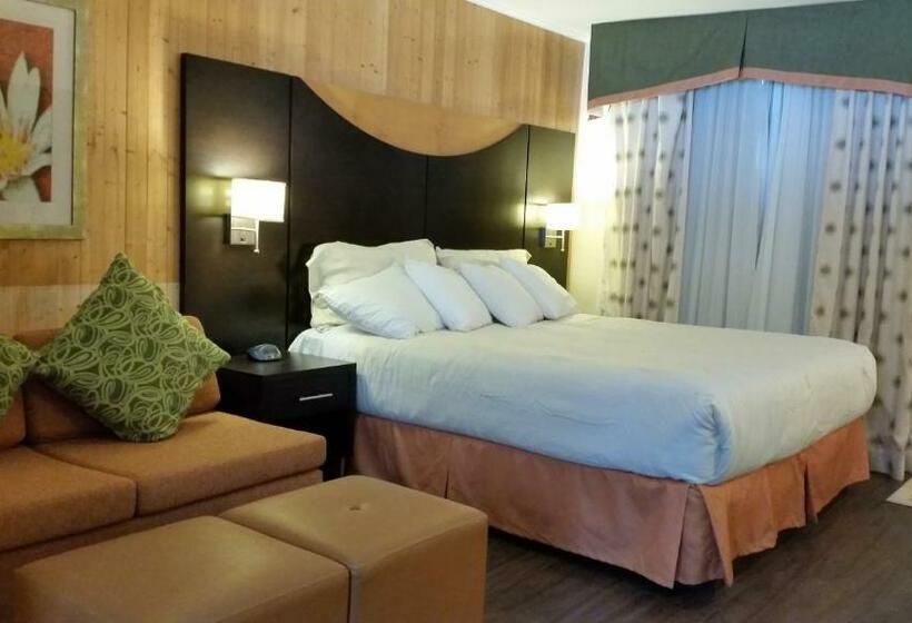 اتاق استاندارد با تخت بزرگ, Trailsman Lodge