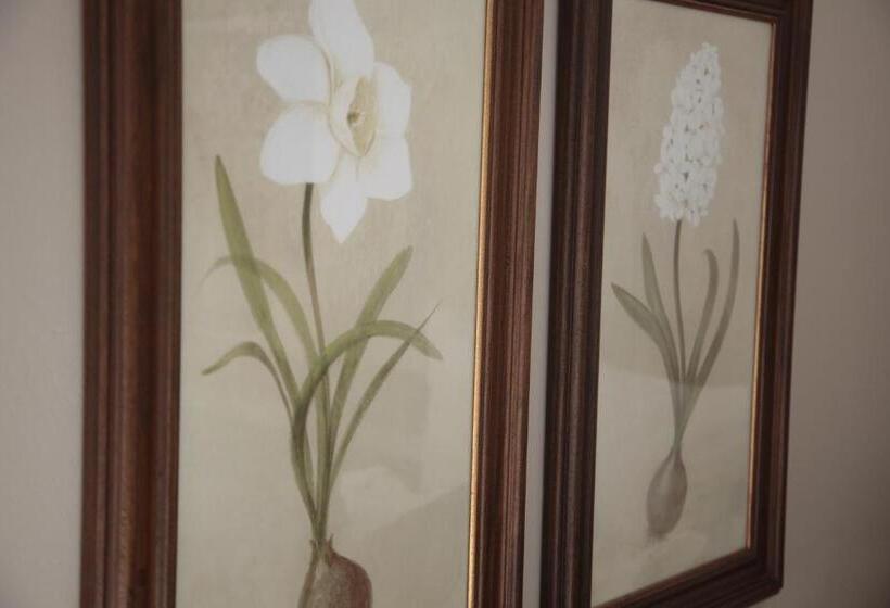اتاق استاندارد یک نفره, Lemon & Lime Guesthouse