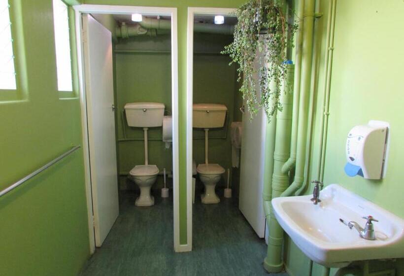 اتاق استاندارد, Rotorua Downtown Backpackers