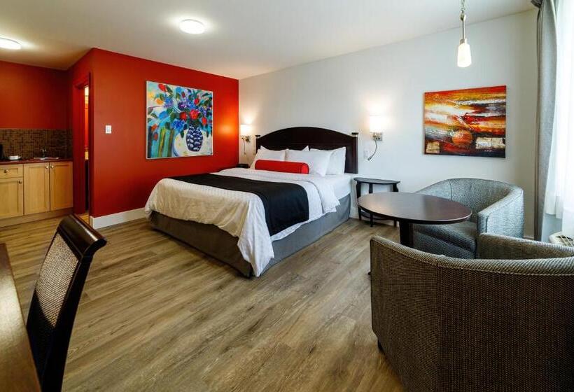 استودیو استاندارد با تخت کینگ, Motel Castel De La Mer