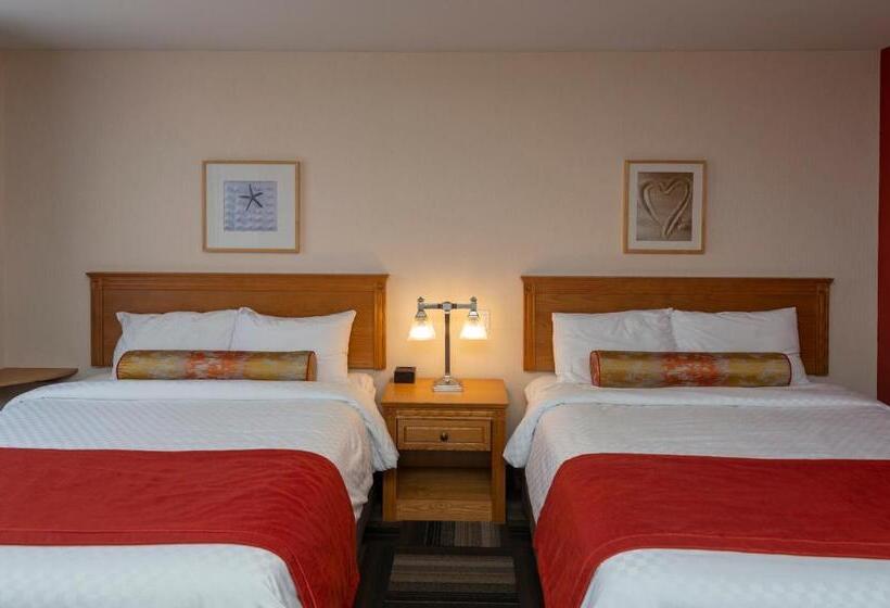استودیوی استاندارد, Motel Castel De La Mer