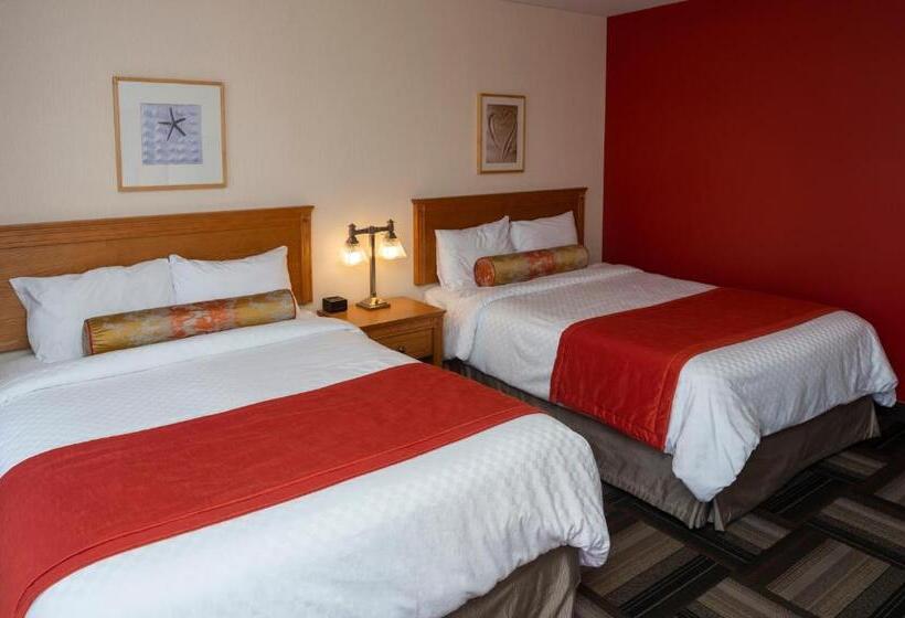 استودیوی استاندارد, Motel Castel De La Mer