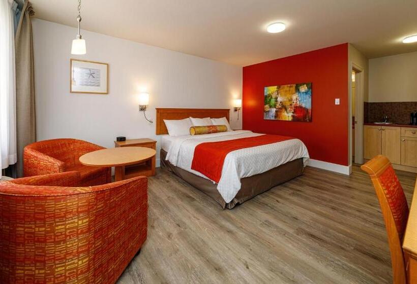 استودیوی لوکس, Motel Castel De La Mer
