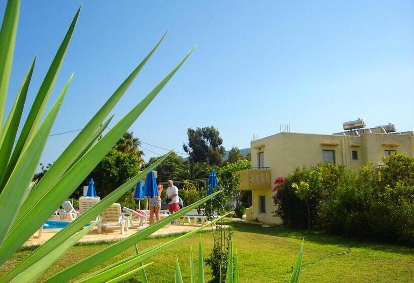 استودیوی استاندارد, Angelos Studios