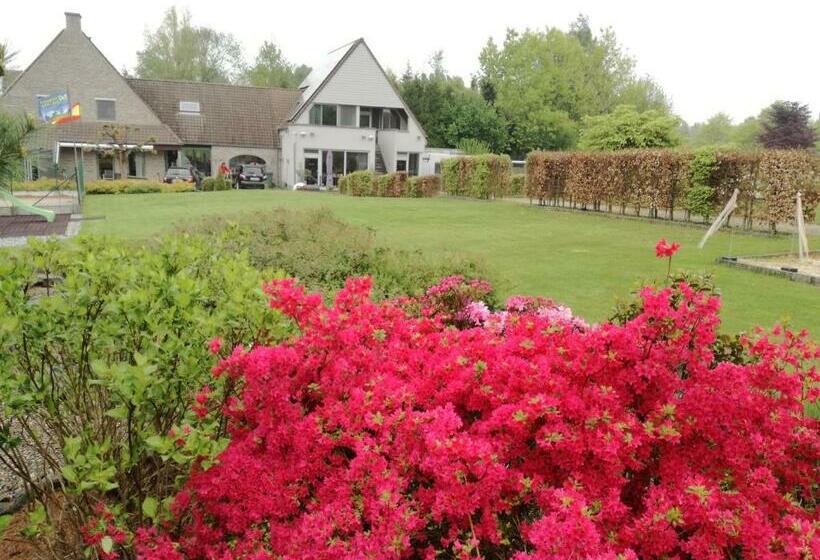 اتاق لوکس, B&b Hakuna Matata