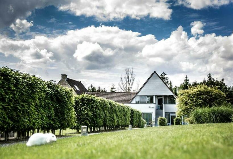 اتاق لوکس, B&b Hakuna Matata