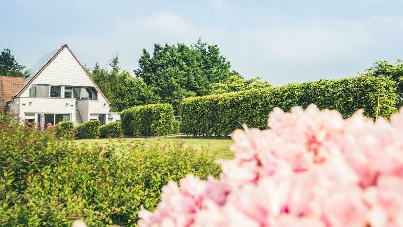اتاق لوکس, B&b Hakuna Matata