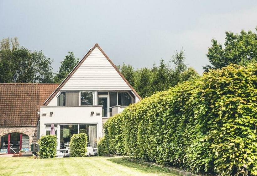 اتاق لوکس, B&b Hakuna Matata