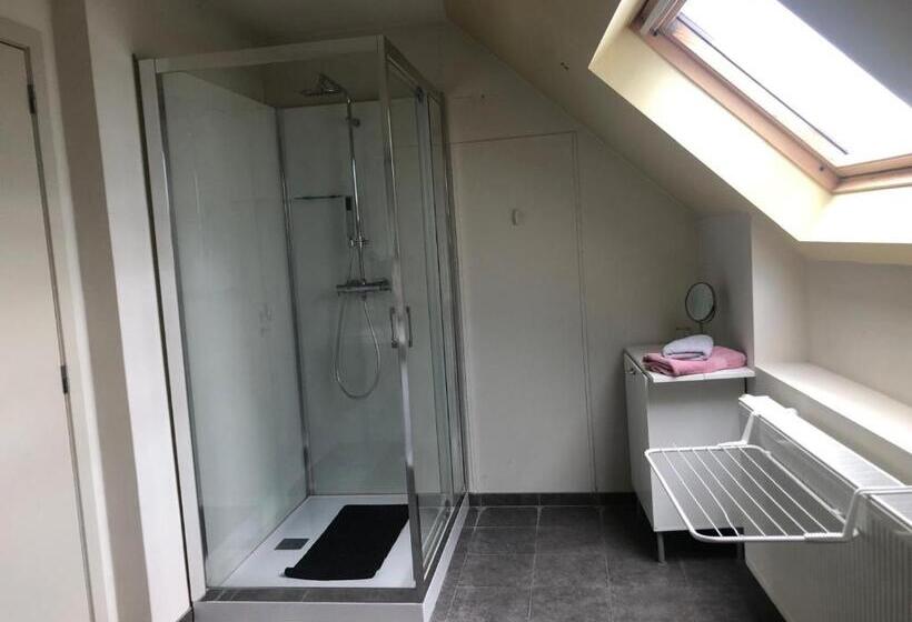 اتاق خانوادگی, B&b Molen Ter Walle