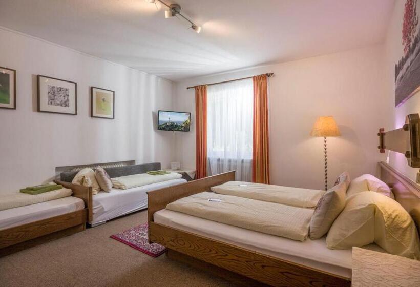 اتاق استاندارد چهار تخته, Gästehaus Greger