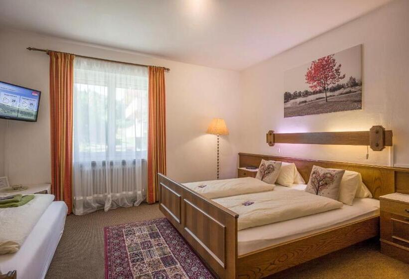 اتاق استاندارد چهار تخته, Gästehaus Greger