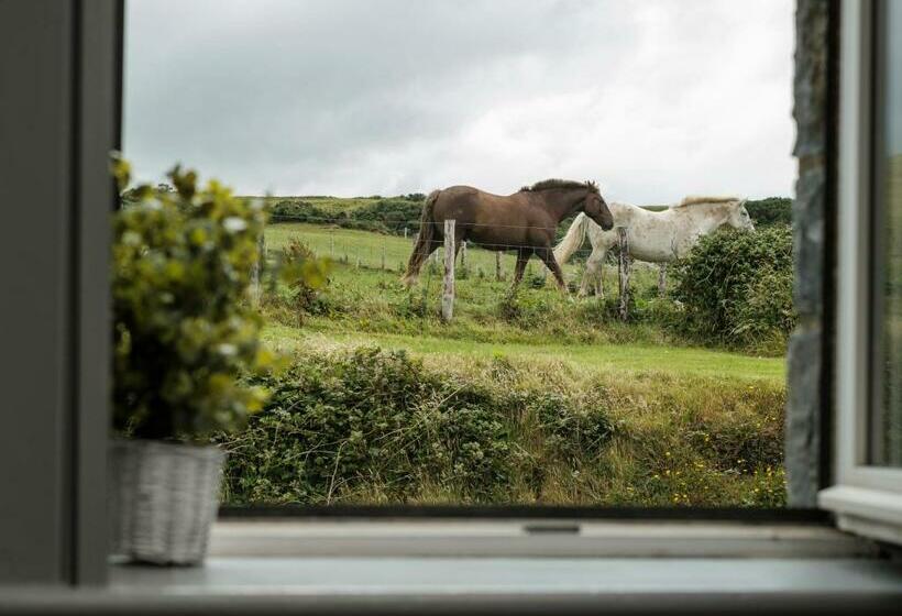 اتاق استاندارد, The Lodge Doolin