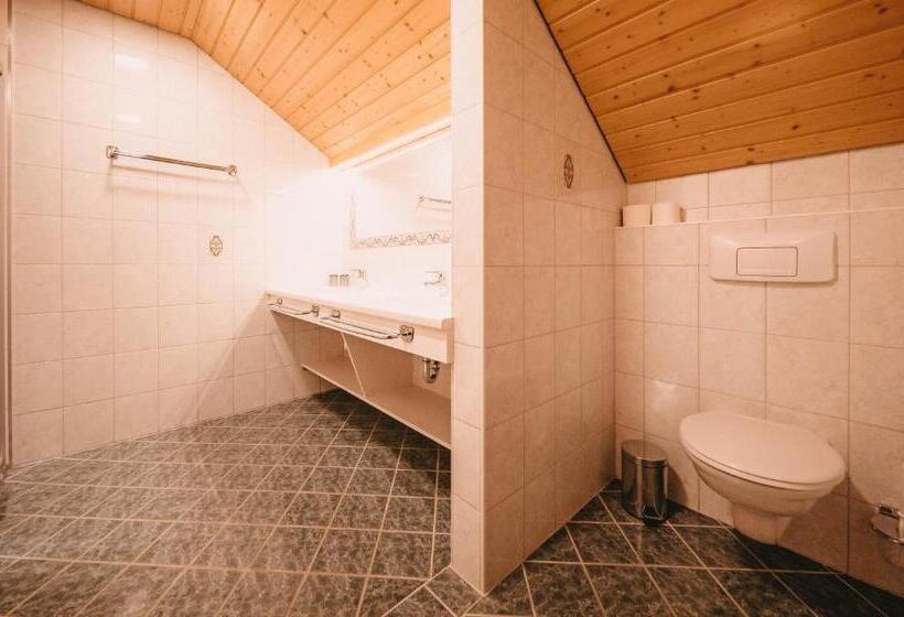 آپارتمان 2 خوابه با بالکن, Posers Bergwelt B&b